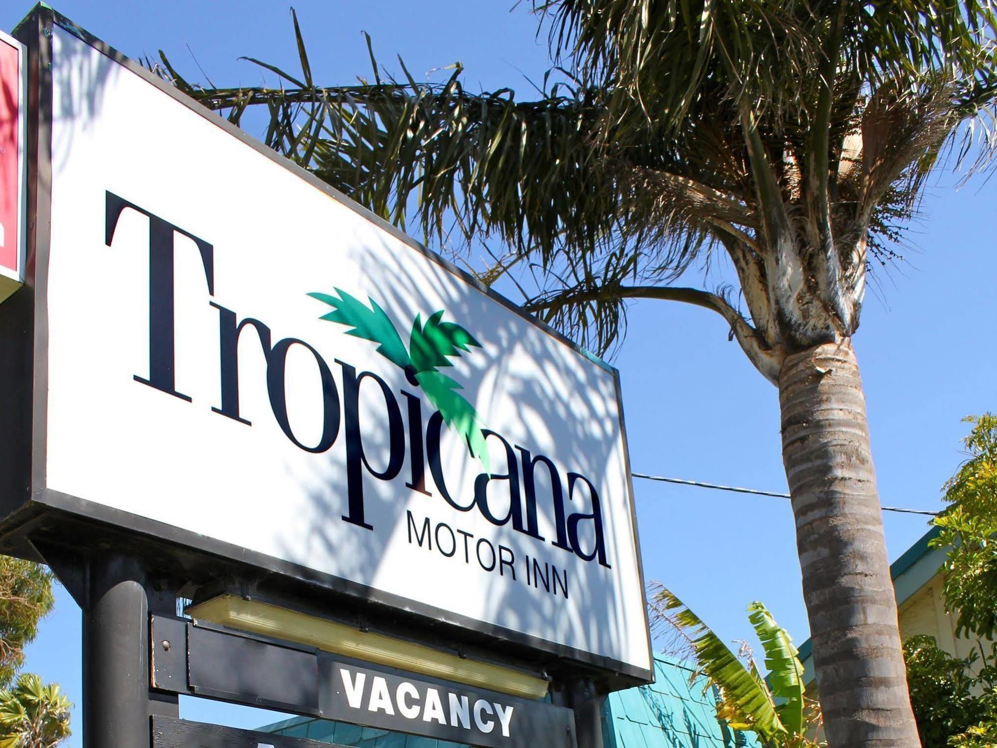 Tropicana Motor Inn Коув Экстерьер фото